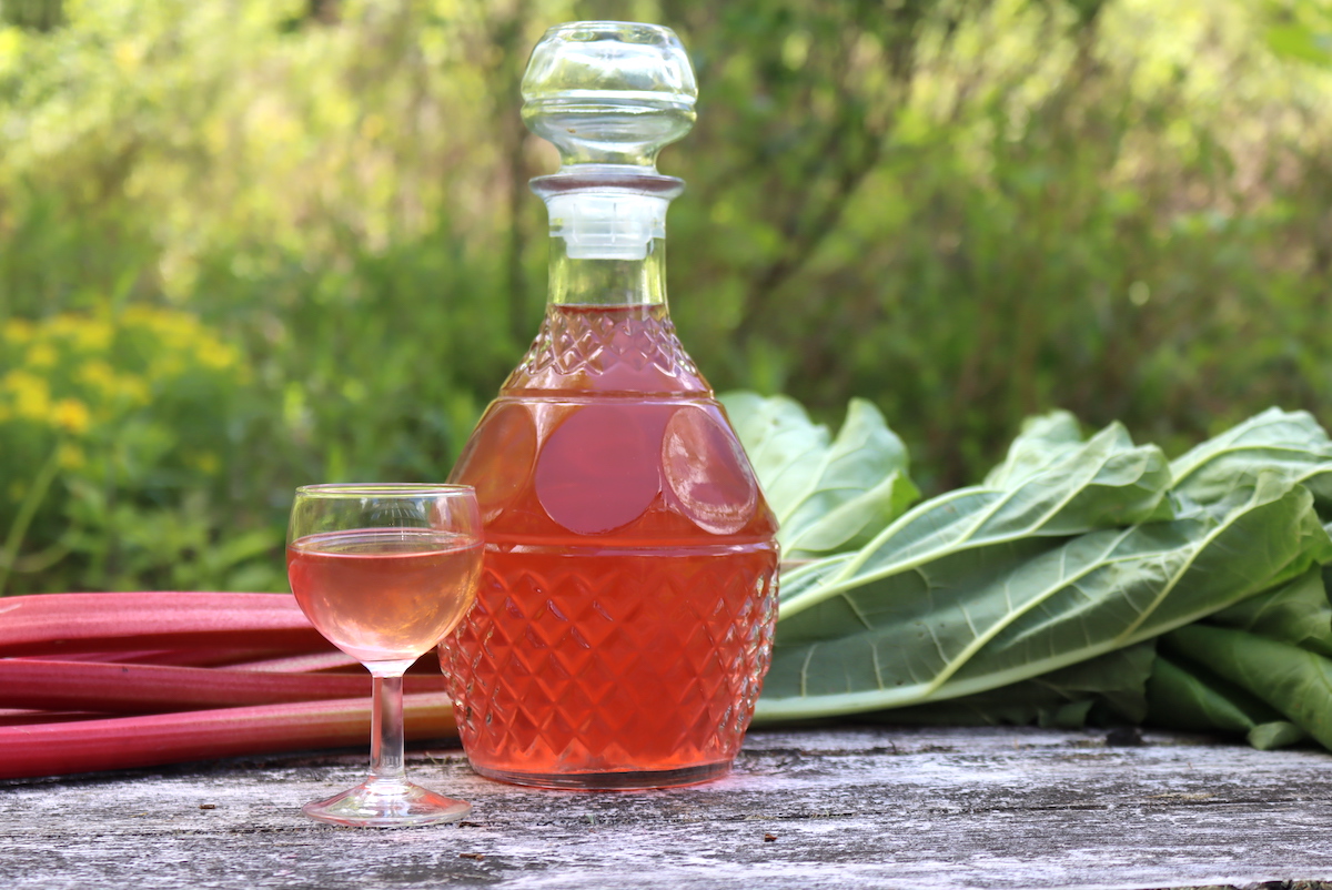 Rhubarb Liqueur