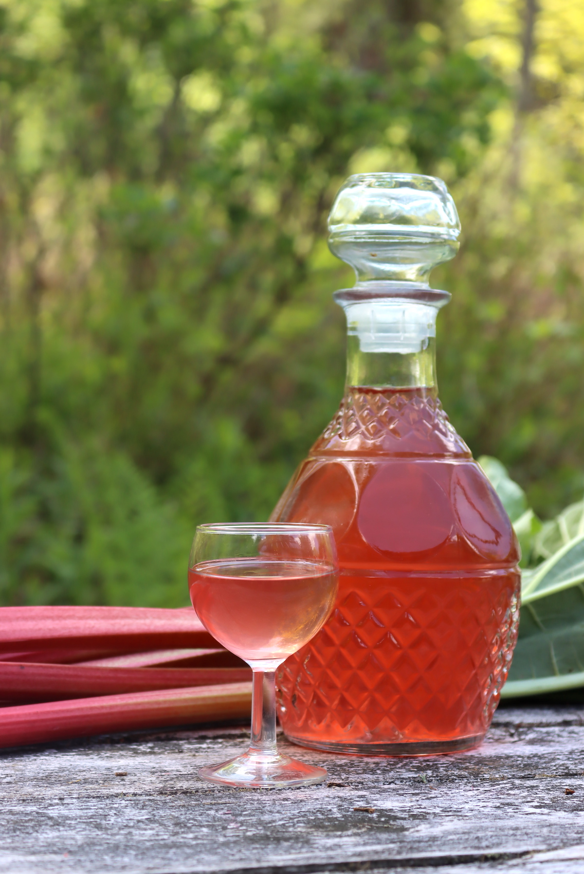 Rhubarb Liqueur