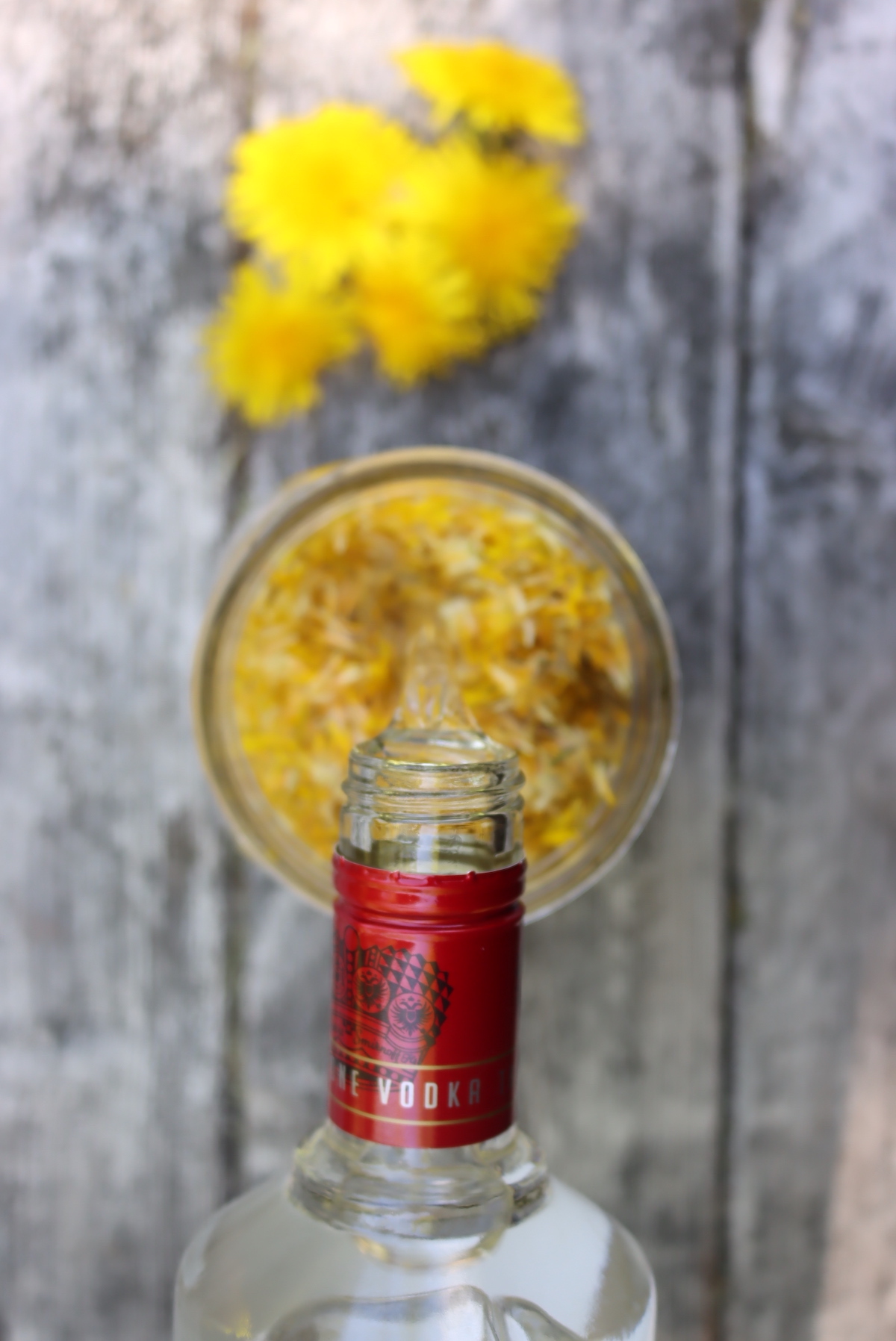 making dandelion liqueur