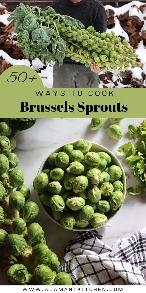 Brussels Sprouts Recipes