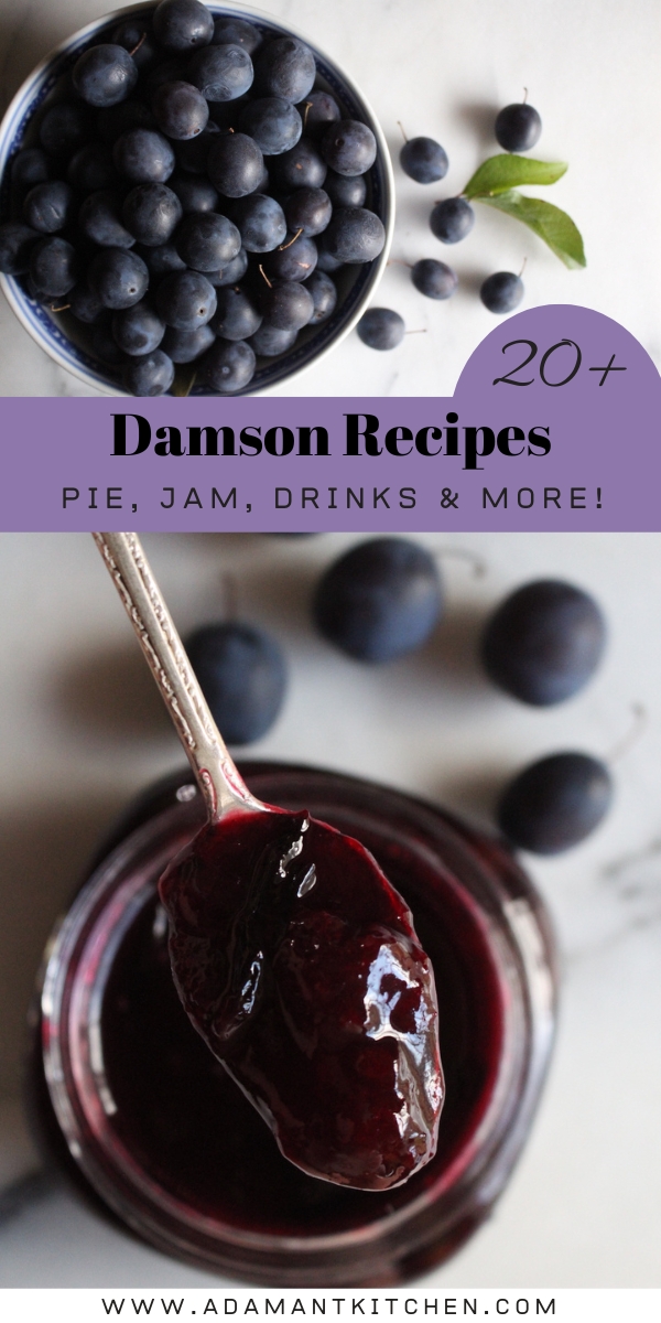 30+ Damson Recipes