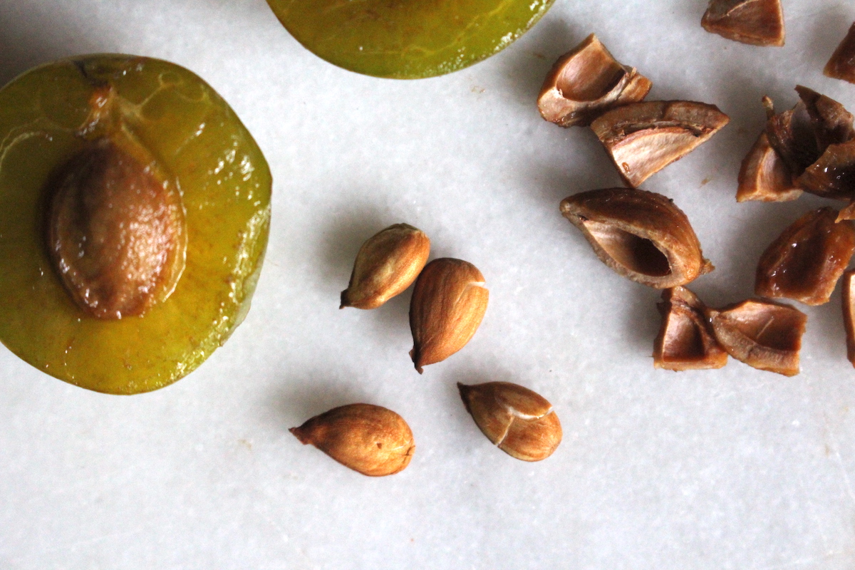 Cracked Greengage Seeds