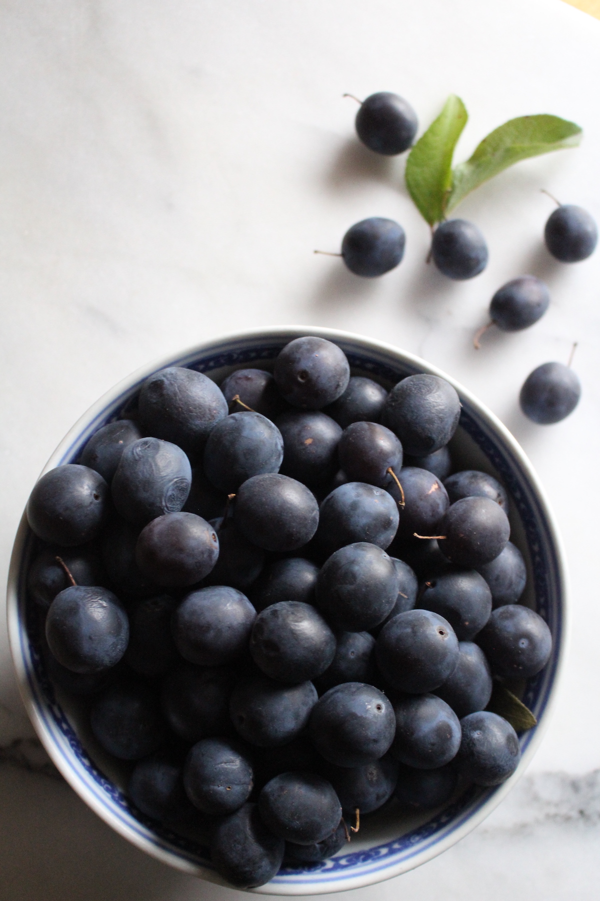 Damson Plums in Bowl