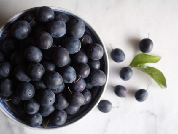 Damson Recipes