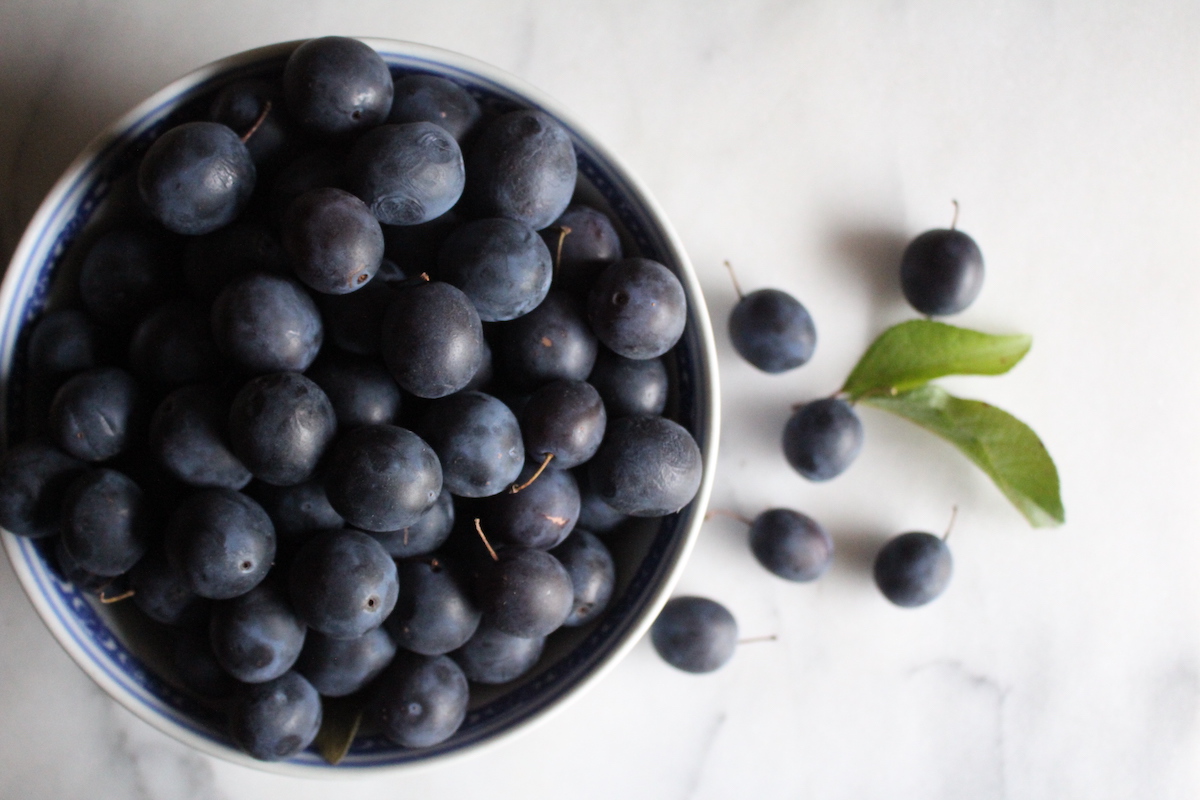 Damson Recipes