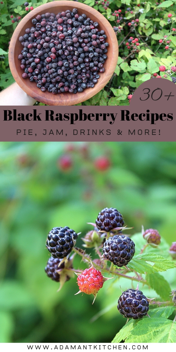Black Raspberry Recipes