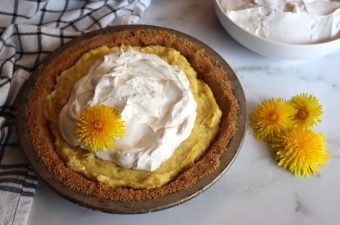Dandelion Cream Pie (Edible Flower Pie)