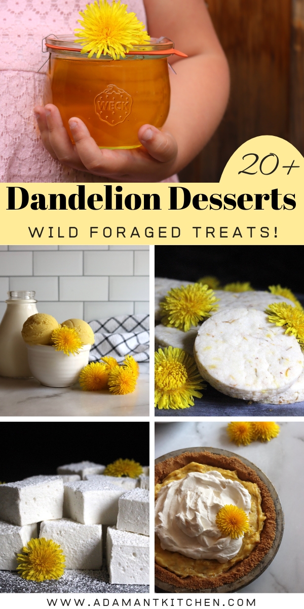 Dandelion Dessert Recipes