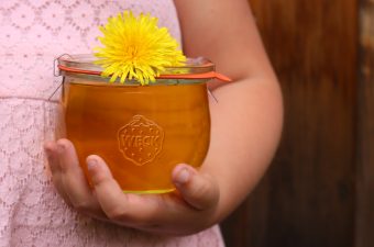 Dandelion Honey Recipe (from Flowers)