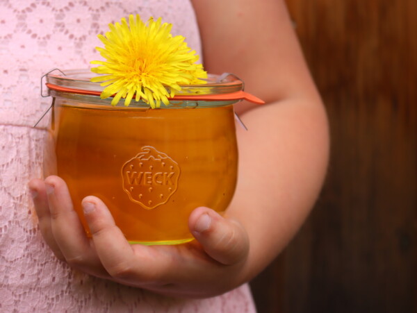 Dandelion Honey