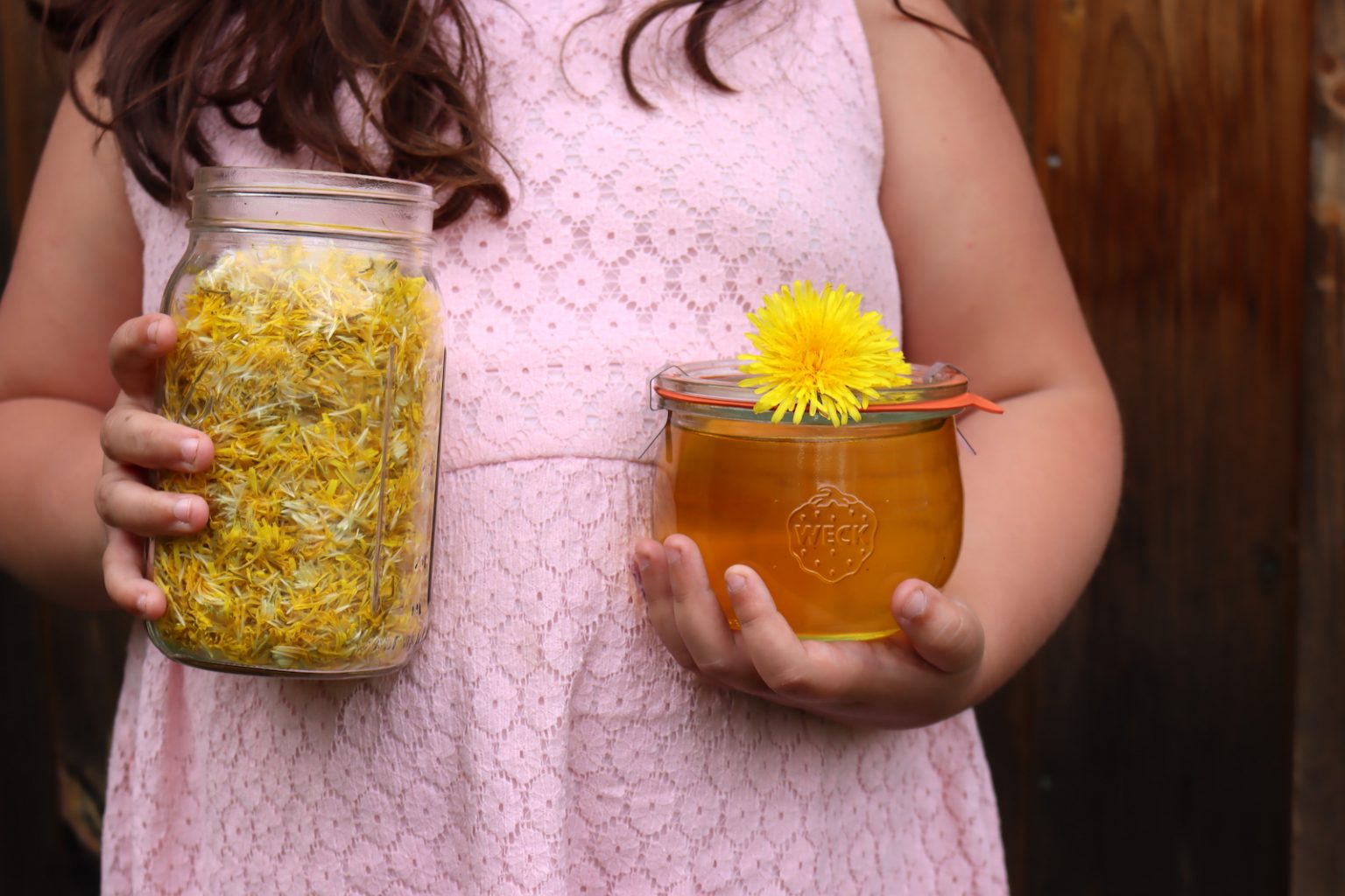 Dandelion Honey Recipe (from Flowers)