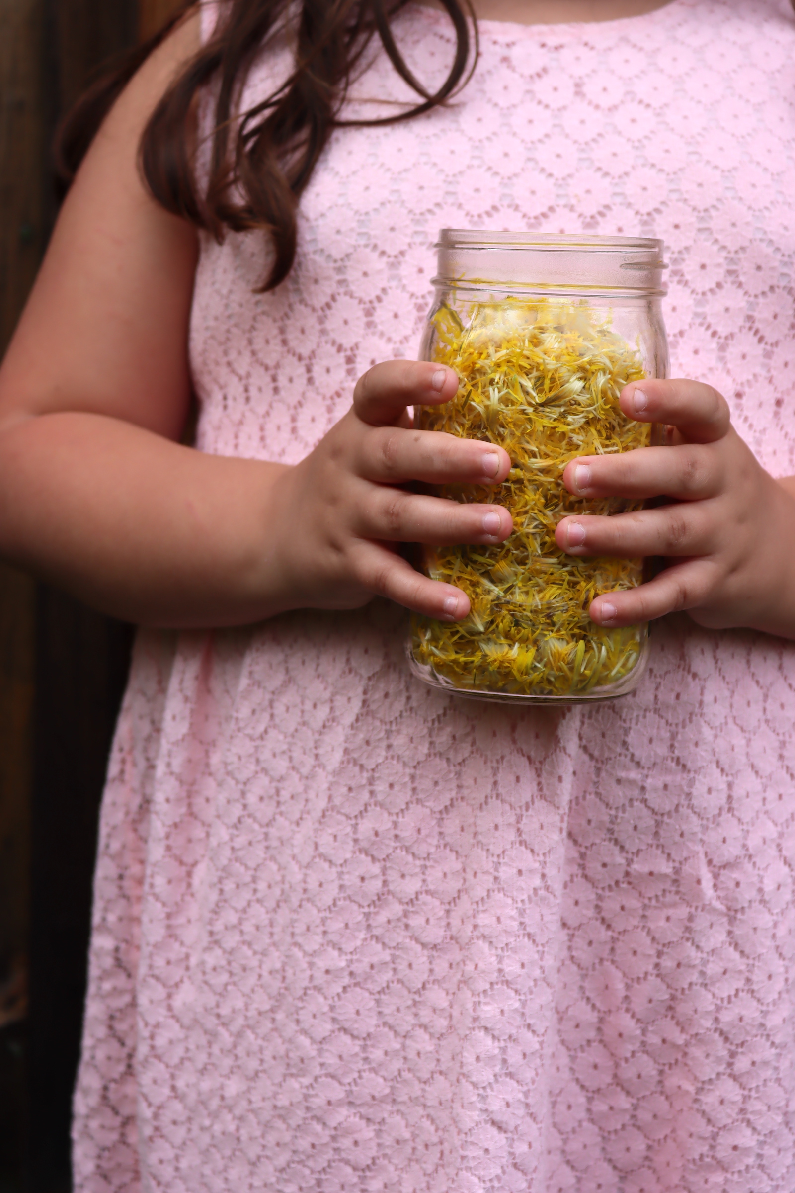 Dandelion Petals