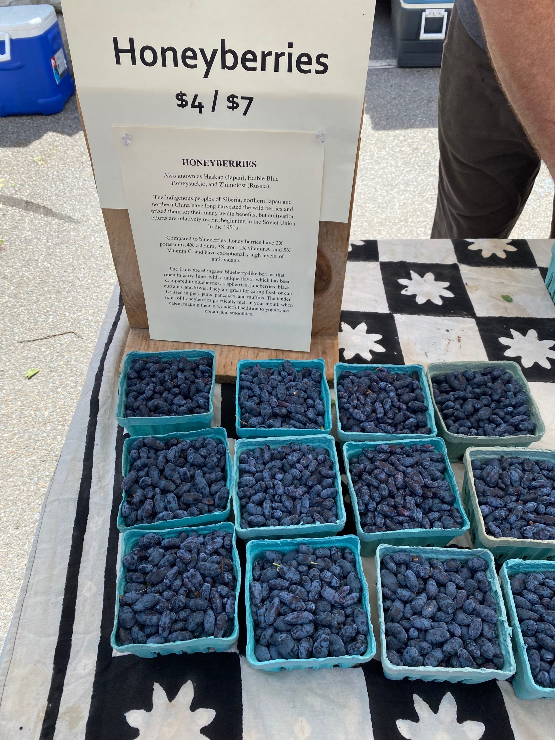 Honeyberries at Market