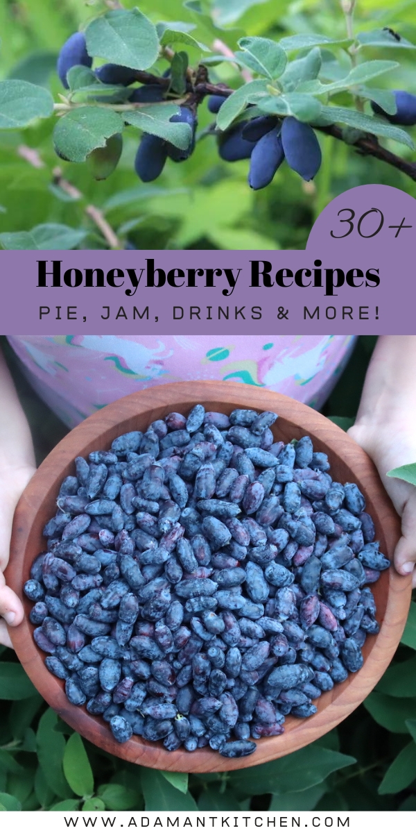 30+ Honeyberry Recipes (Haskap Fruit)