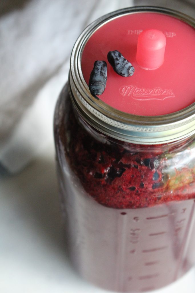 30+ Honeyberry Recipes (Haskap Fruit)