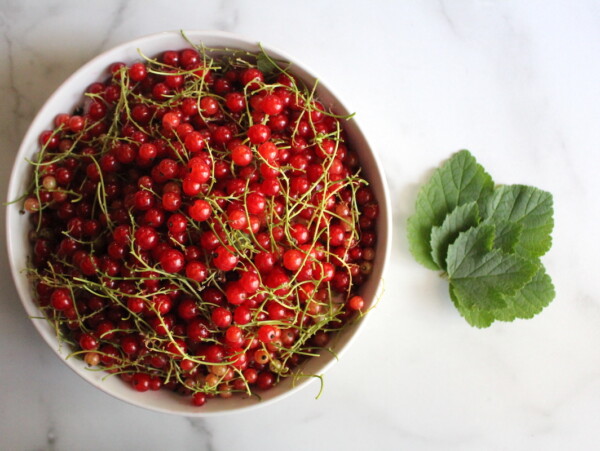 Red Currants