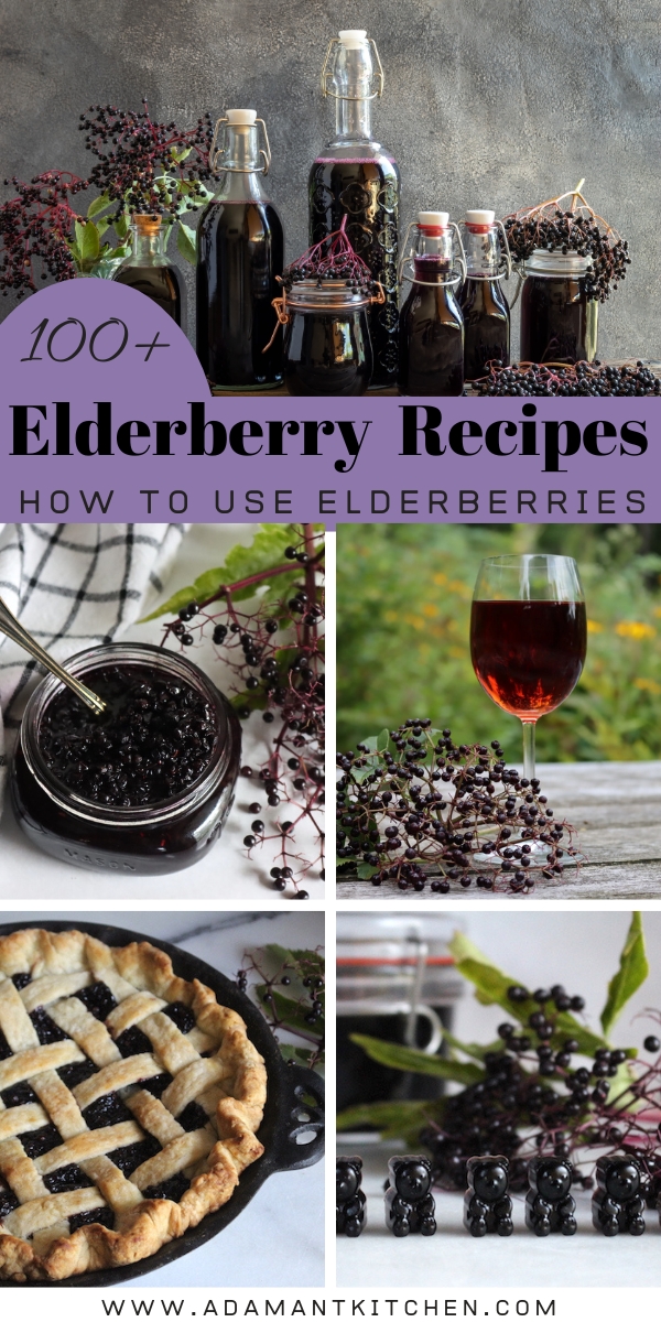 100 Elderberry Recipes