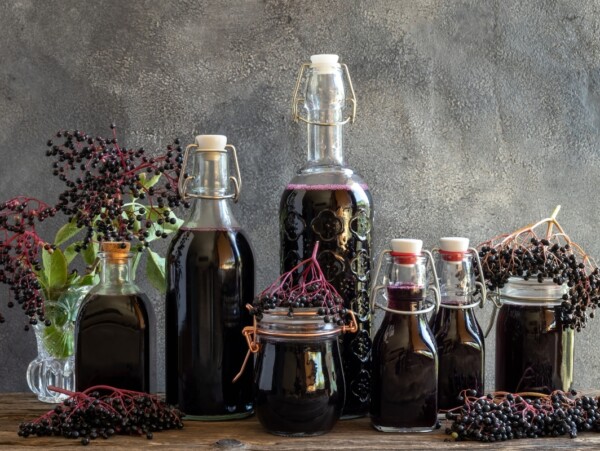 Elderberry Recipes