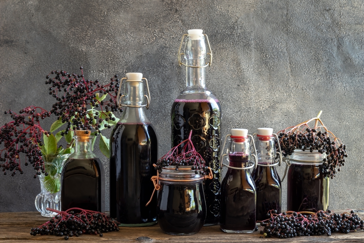 Elderberry Recipes