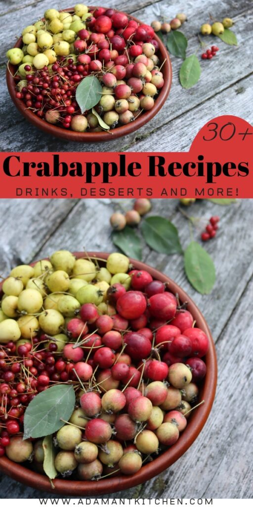 30+ Crabapple Recipes - Adamant Kitchen