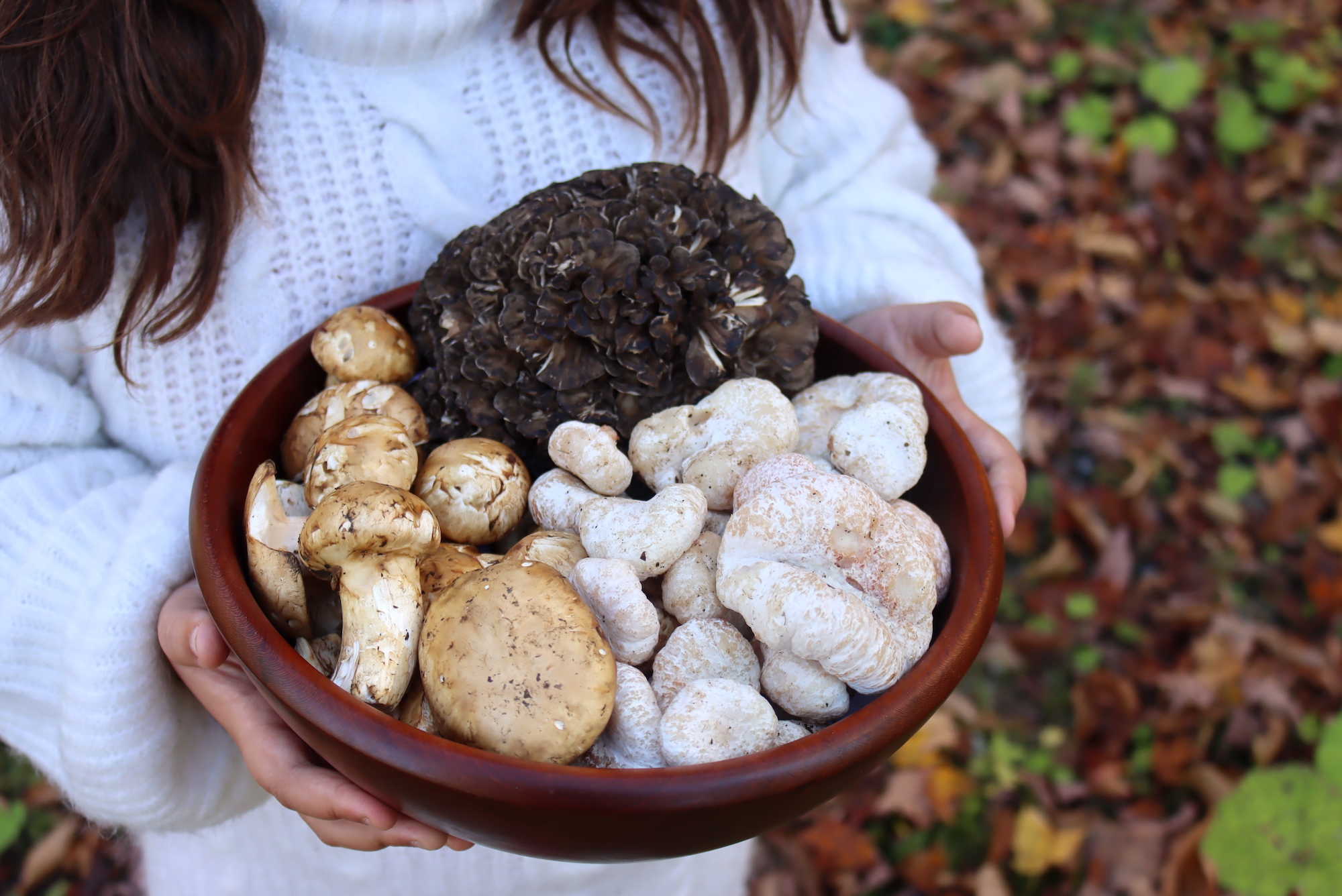 Autumn Mushrooms