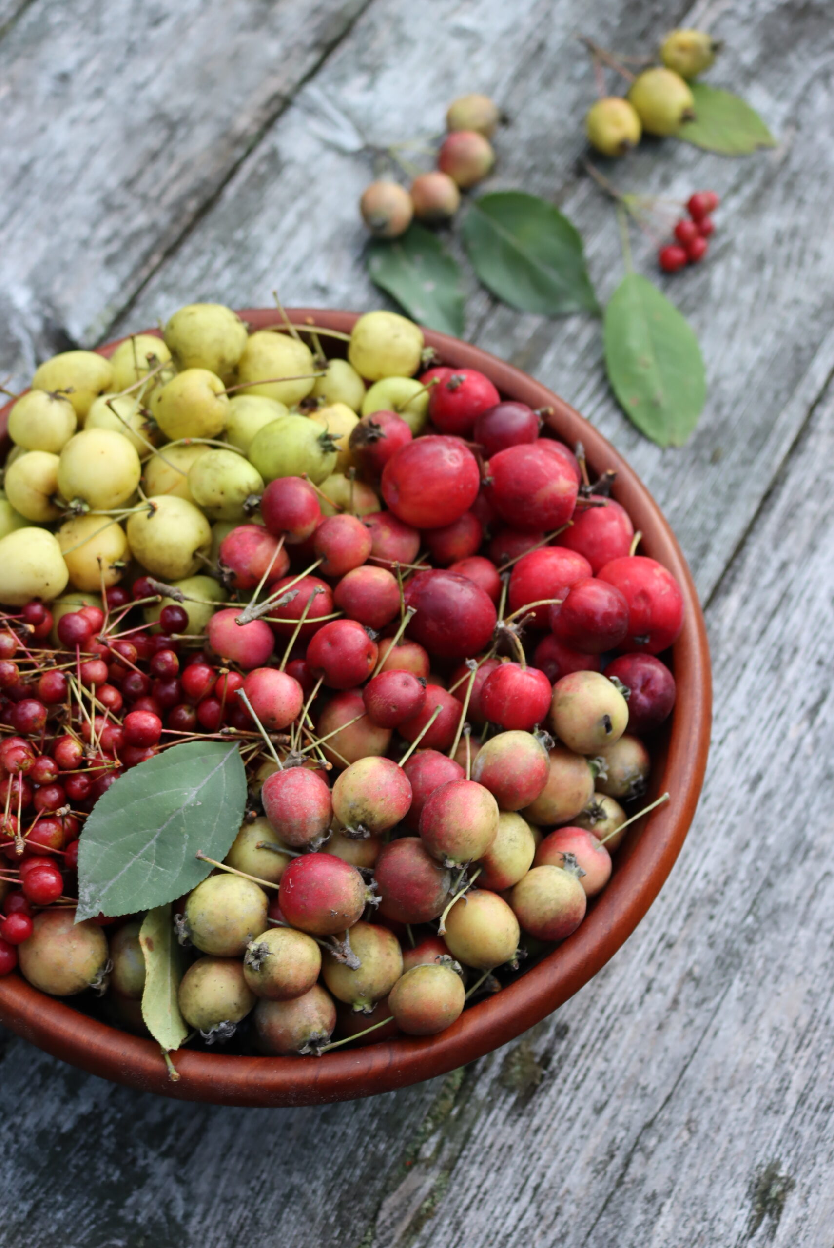 Crabapple Bowl