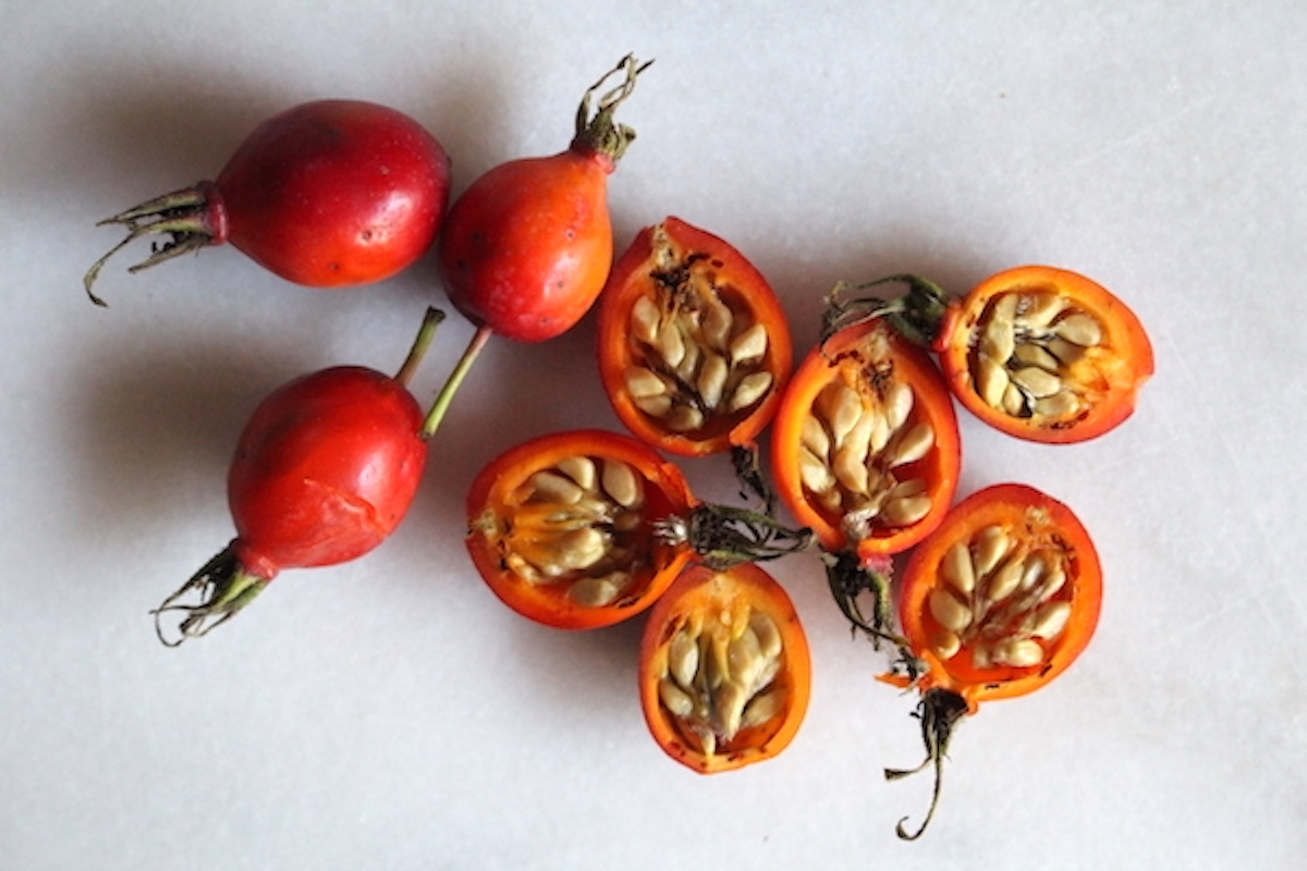 Cut Rose Hips