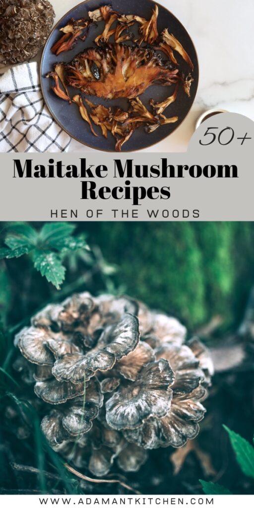 50+ Maitake Mushroom Recipes (Hen of the Woods) Adamant Kitchen