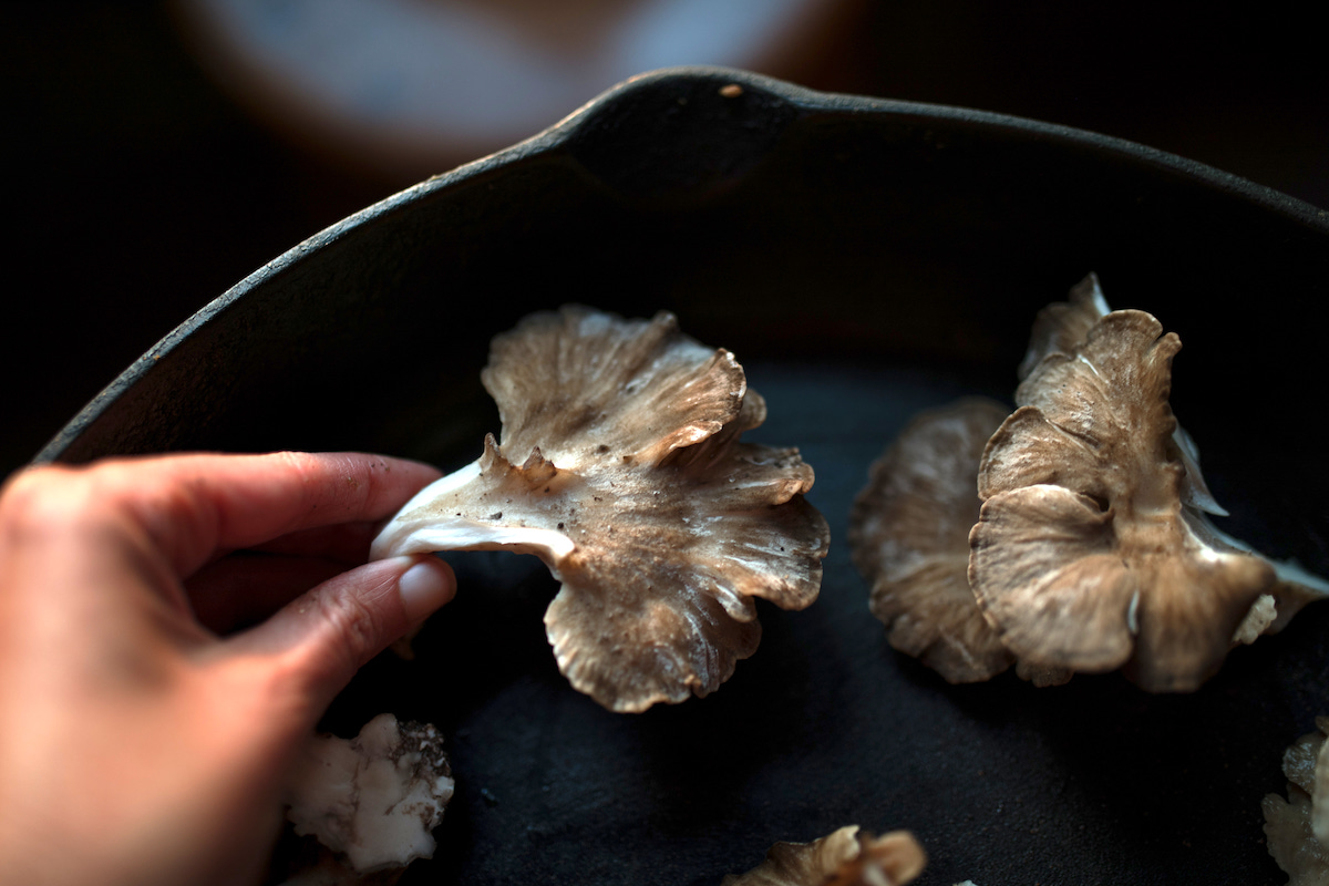 Recipes using maitake mushrooms