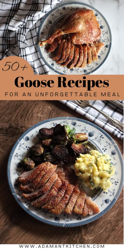 60+ Goose Recipes - Adamant Kitchen