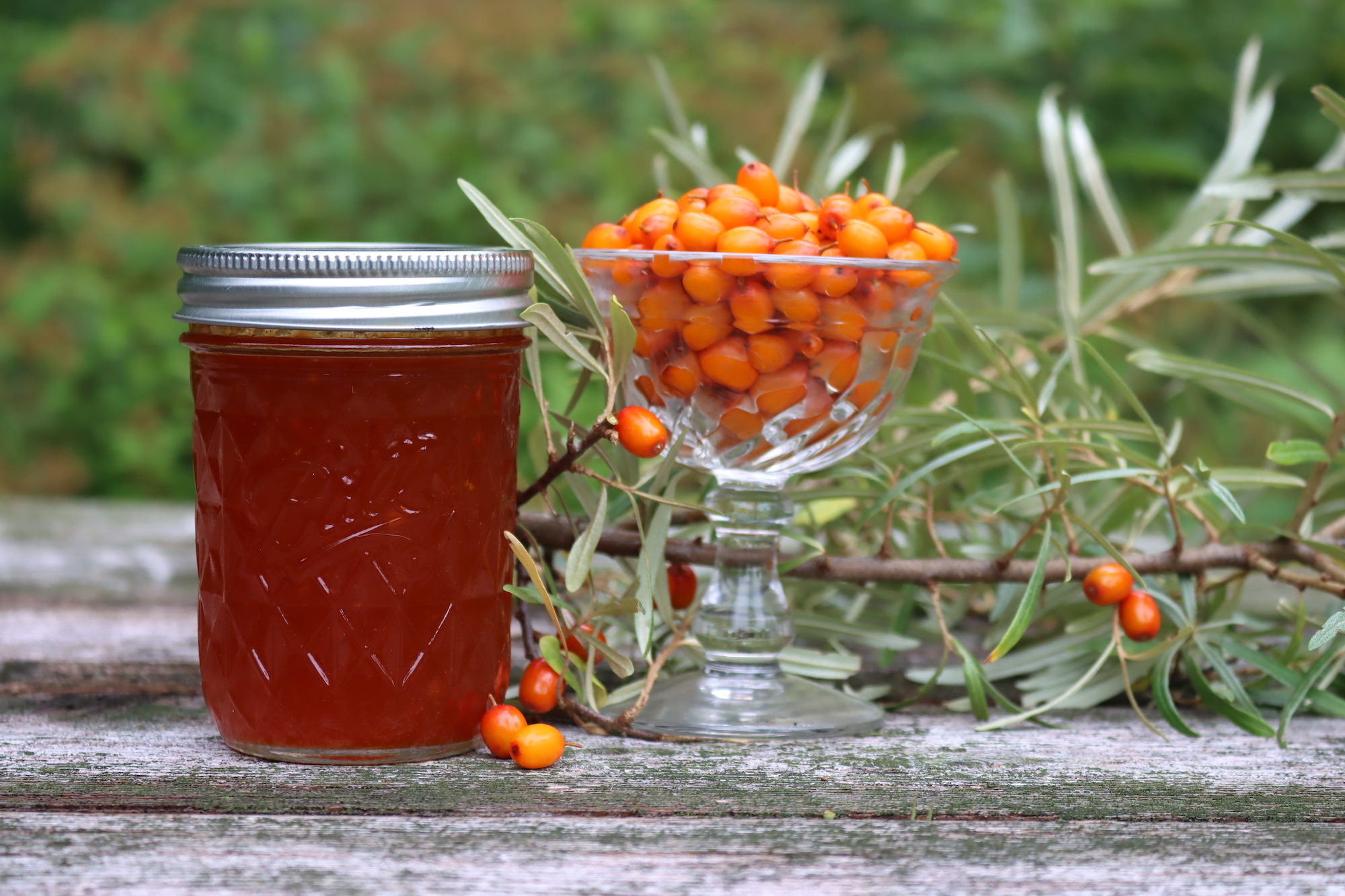 Sea Buckthorn Jelly