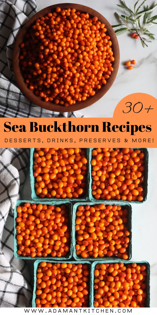 Sea Buckthorn Recipes