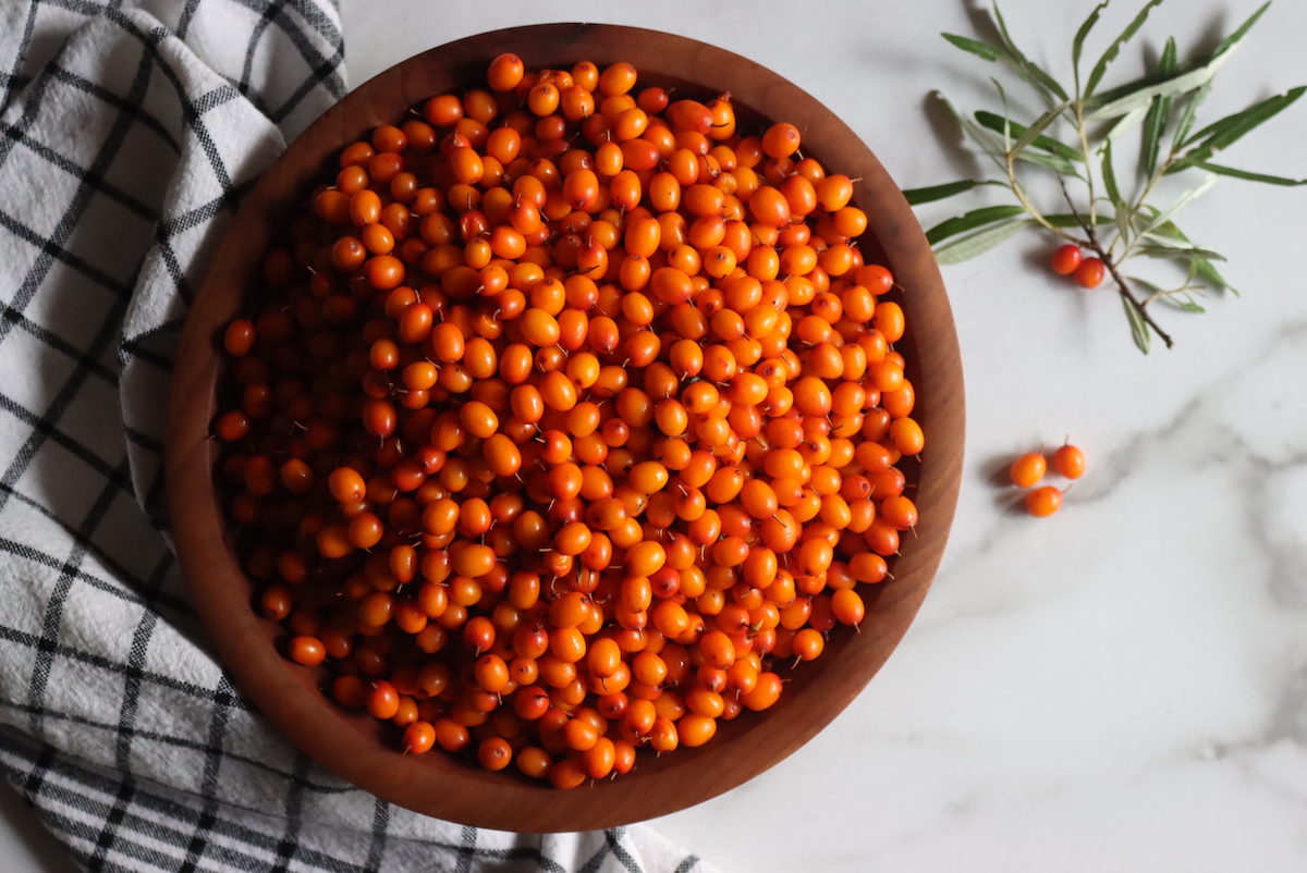 Sea Buckthorn Fruit (Seaberries)