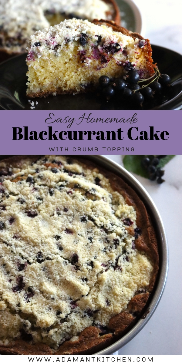 Blackcurrant Cake Recipe