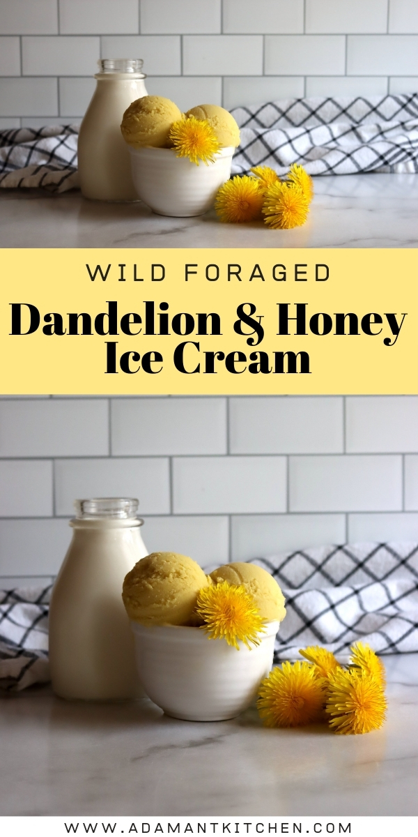 Dandelion Ice Cream Recipe