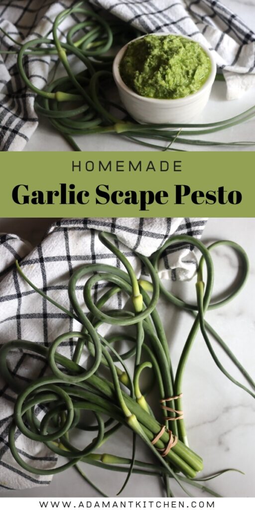 Garlic Scape Pesto Adamant Kitchen