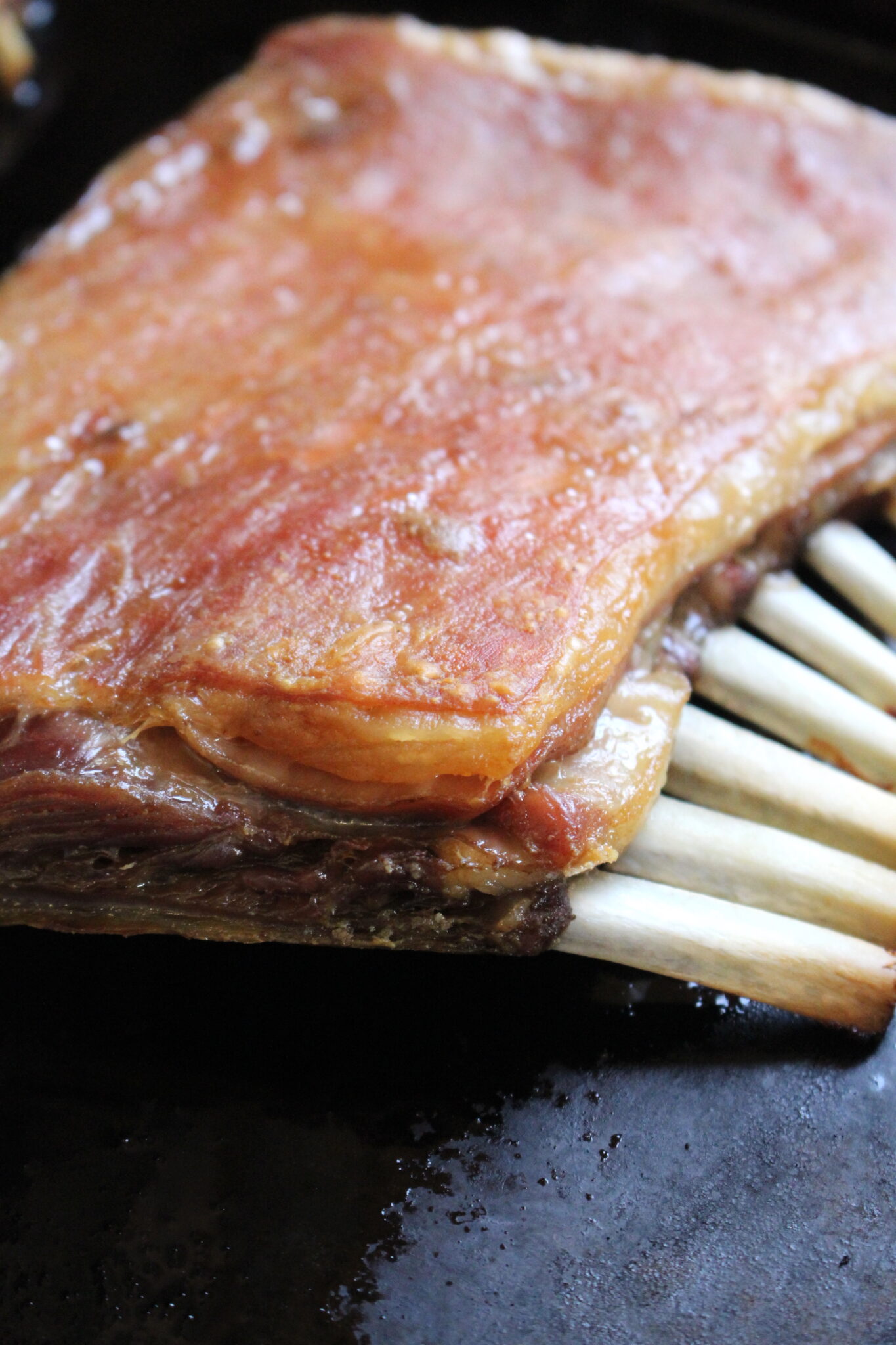 Oven Roasted Goat Ribs