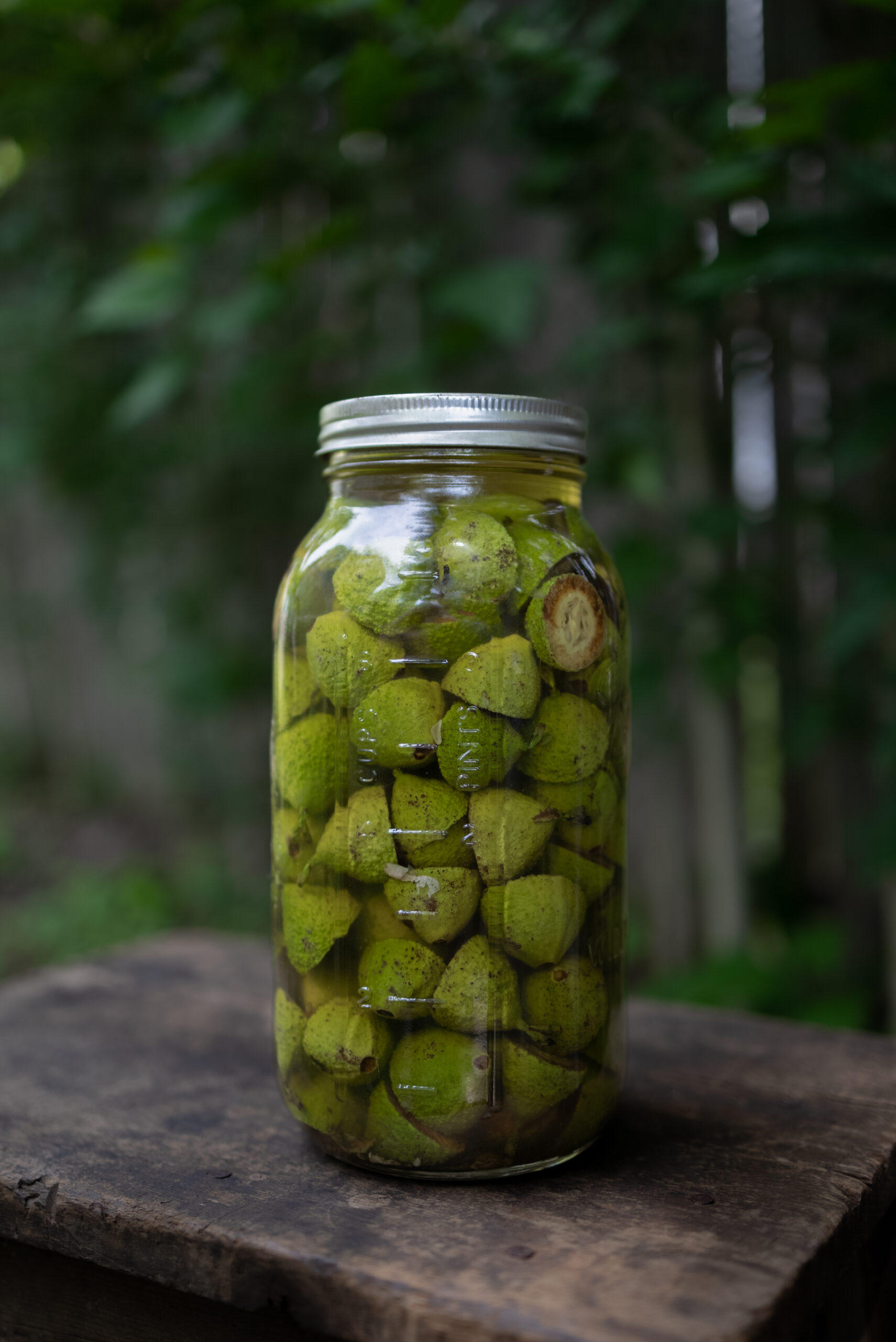 Infusing Green Walnut Liqueur