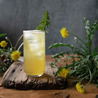 Dandelion Gin Recipe