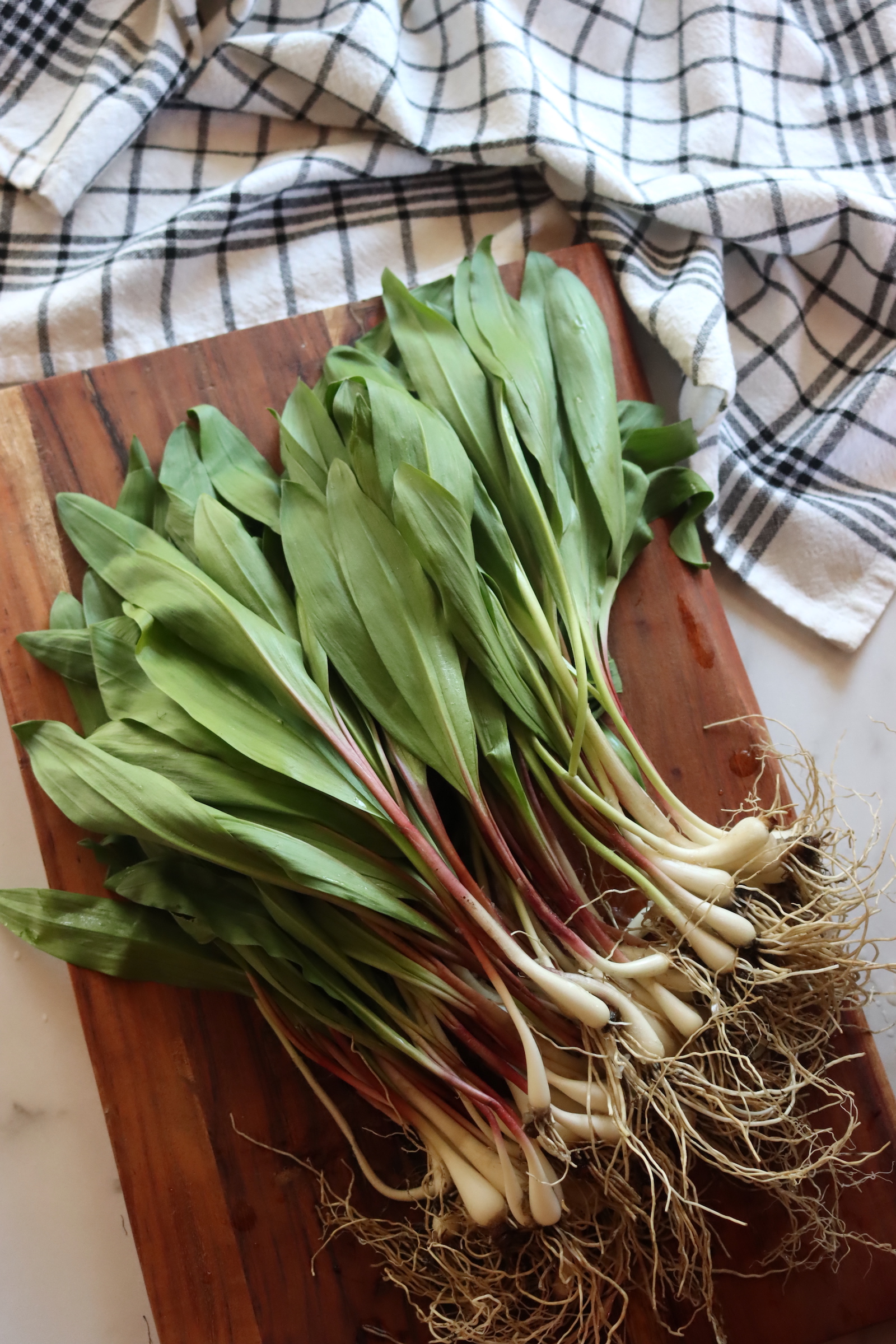 Ramps with Roots