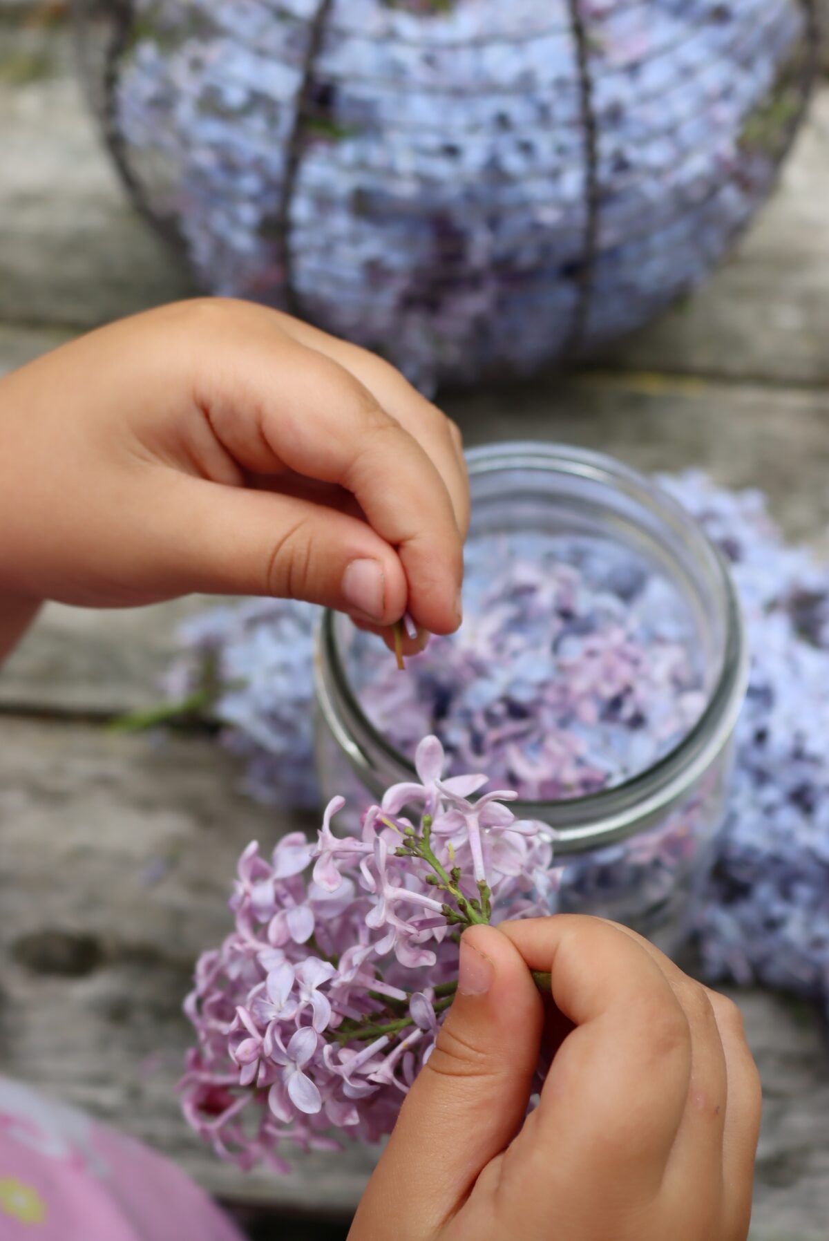Separating Lilac Flowers