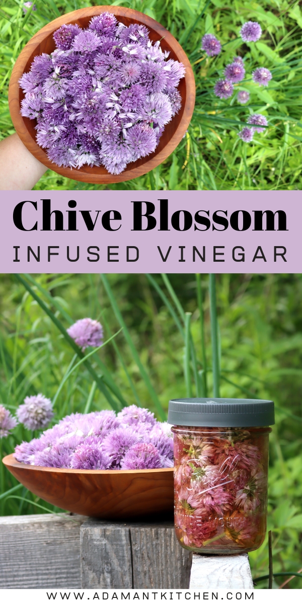 Chive Blossom Infused Vinegar Recipe