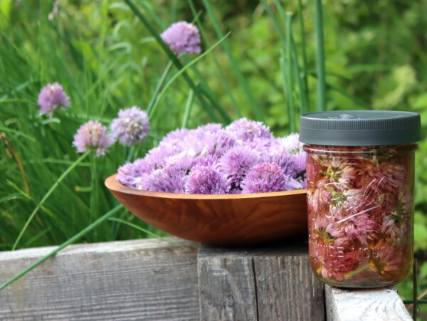 Chive Blossom Vinegar