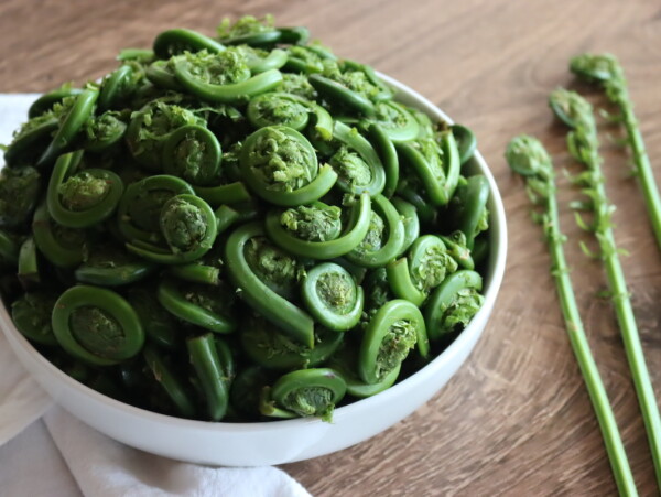 Fiddleheads