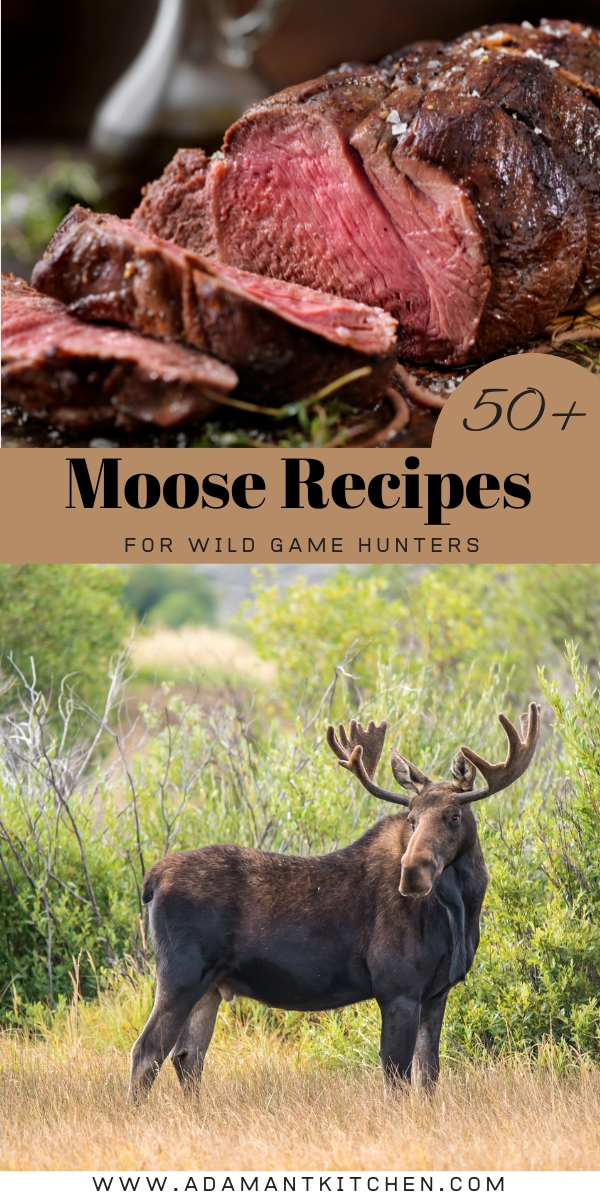 Moose Recipes