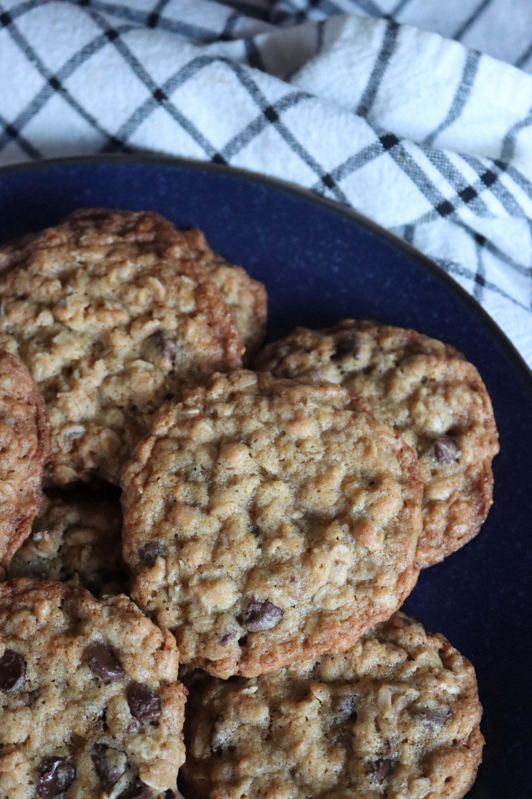 Oatmeal Chocolate Chip Cookies