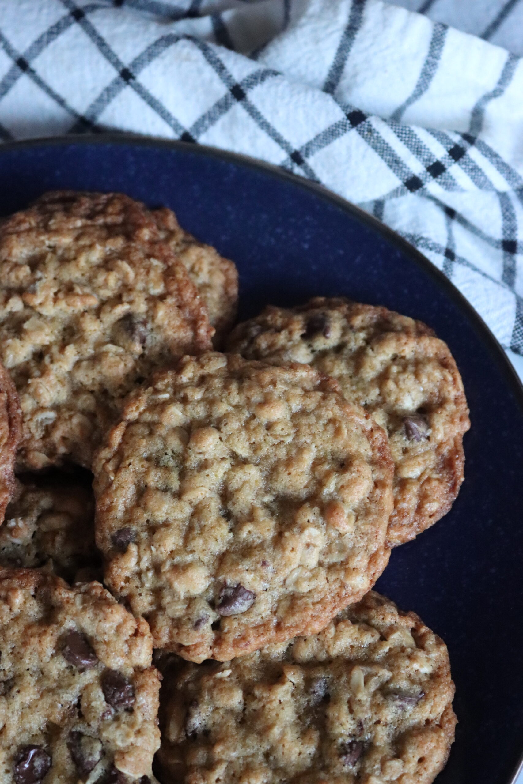 Oatmeal Chocolate Chip Cookies