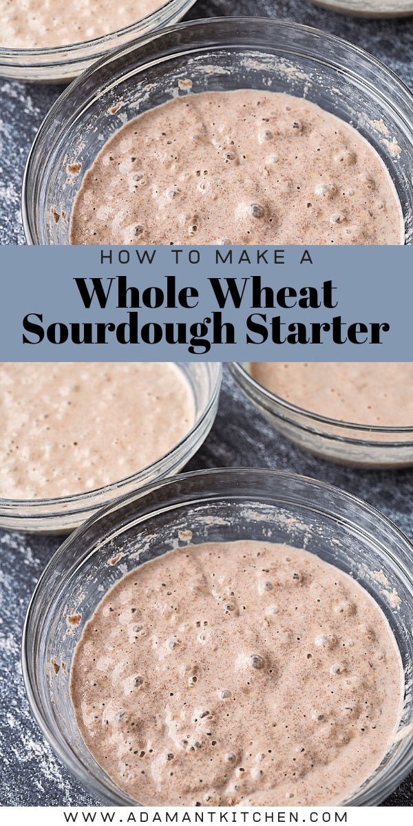 Whole Wheat Sourdough Starter