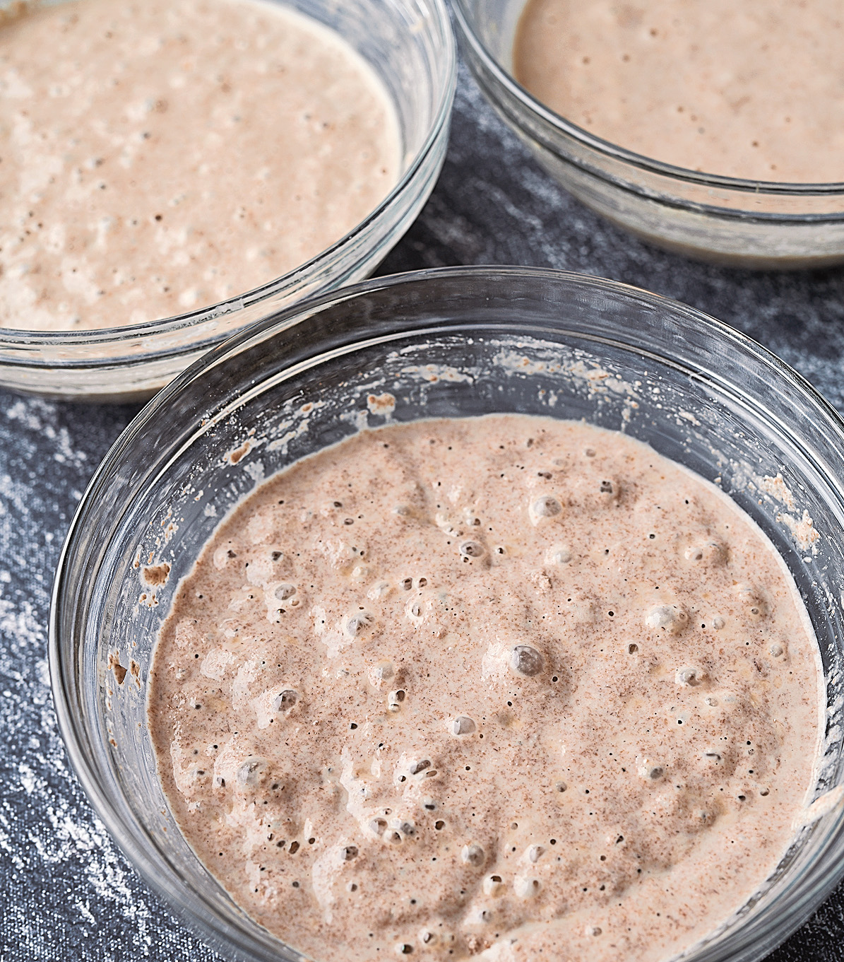 Whole Wheat Sourdough Starter