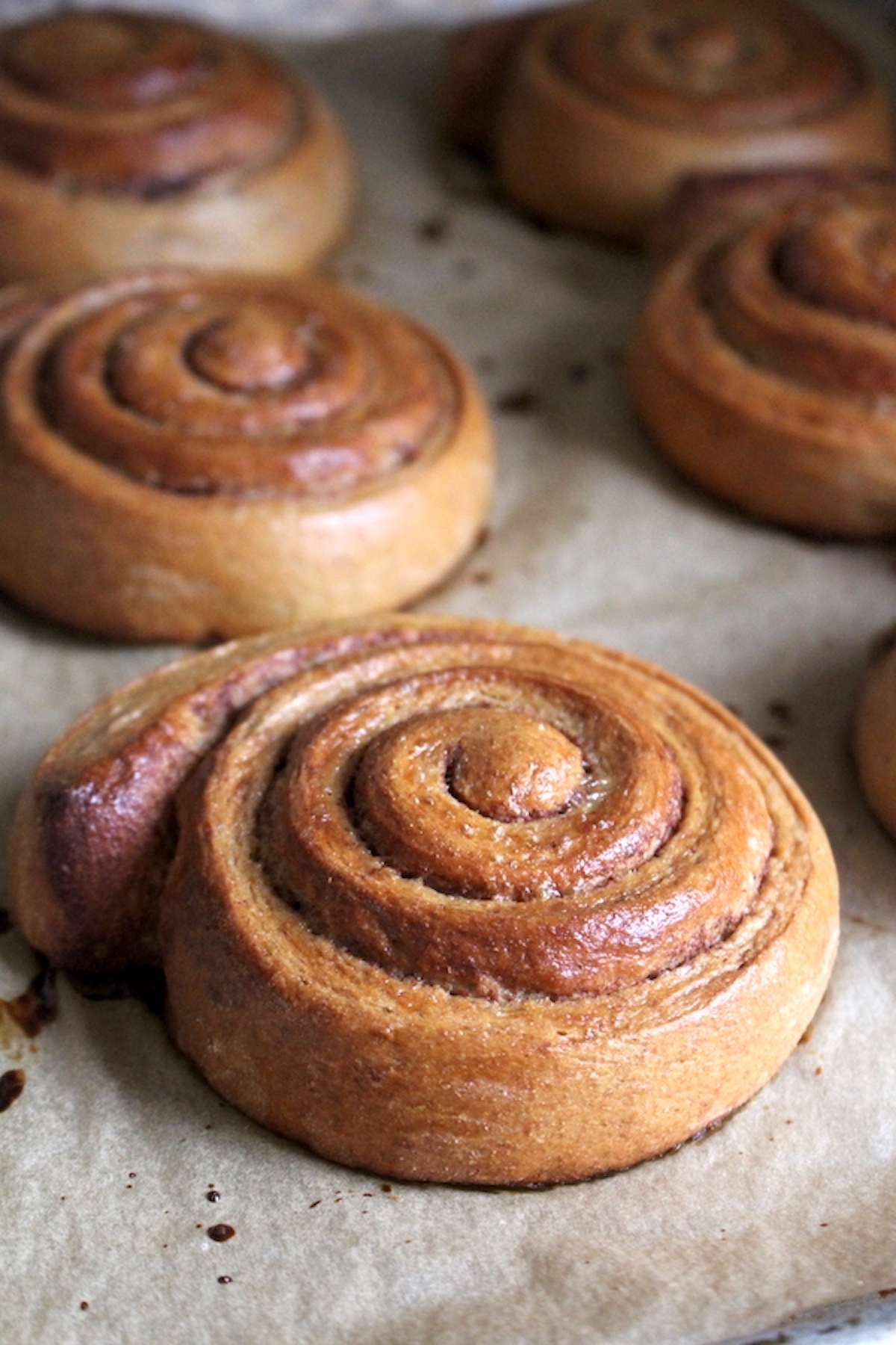 whole wheat cinnamon rolls